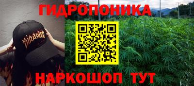 не бодяженный Камышлов