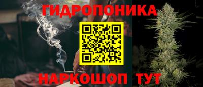 не бодяженный Камышлов