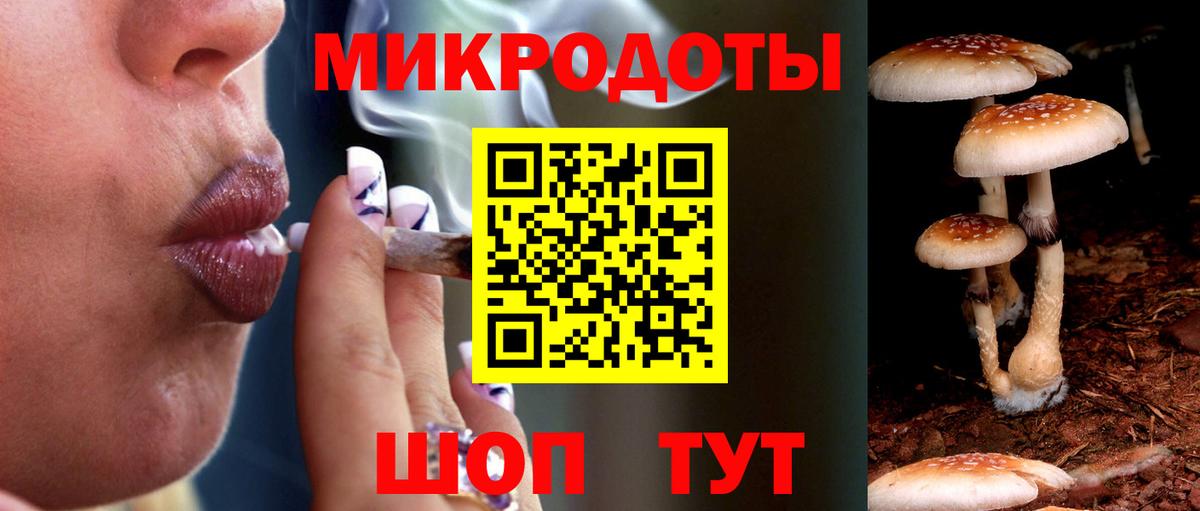 Видное  Псилоцибиновые грибы ЛСД  Вход с VPN  Галлюциногенные грибы Magic Shrooms 