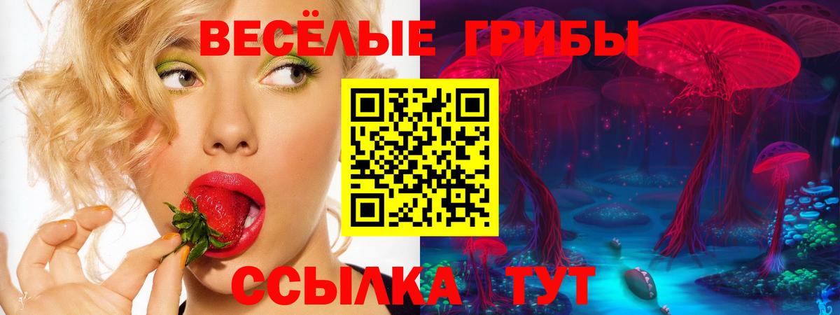 Галлюциногенные грибы Psilocybine cubensis Видное